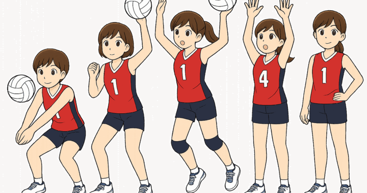 女子バレーボール選手